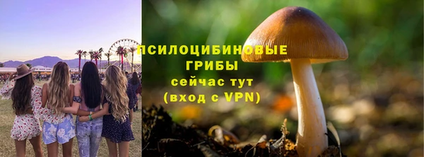 мет Богданович