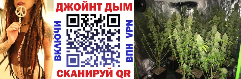 закладки  Кубинка  Каннабис индика 